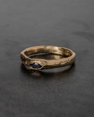 Small Argus Ring - Blue Sapphire