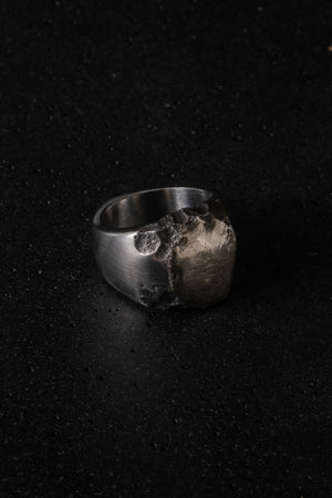 Forgotten Ring Stainless Steel w/ Silver Bronze Details